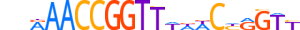 GRHL1.H13RSNP.0.PSM.A motif logo (GRHL1 gene, GRHL1_HUMAN protein)