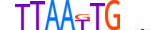 HMX1.H13RSNP.0.SM.B motif logo (HMX1 gene, HMX1_HUMAN protein)