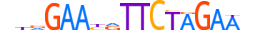 HSF2.H13RSNP.0.PSM.A motif logo (HSF2 gene, HSF2_HUMAN protein)