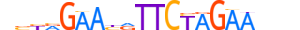 HSF4.H13RSNP.0.SM.B motif logo (HSF4 gene, HSF4_HUMAN protein)