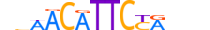 HSF5.H13RSNP.0.M.C motif logo (HSF5 gene, HSF5_HUMAN protein)