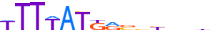 HXA11.H13RSNP.0.PS.D motif logo (HOXA11 gene, HXA11_HUMAN protein)