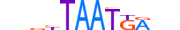 HXA4.H13RSNP.0.SM.D motif logo (HOXA4 gene, HXA4_HUMAN protein)