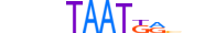 HXA7.H13RSNP.0.SM.D motif logo (HOXA7 gene, HXA7_HUMAN protein)