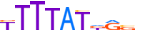 HXB13.H13RSNP.0.PS.A motif logo (HOXB13 gene, HXB13_HUMAN protein)
