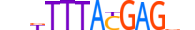 HXB13.H13RSNP.1.SM.B motif logo (HOXB13 gene, HXB13_HUMAN protein)