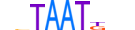 HXB3.H13RSNP.0.S.D motif logo (HOXB3 gene, HXB3_HUMAN protein)