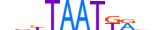 HXB5.H13RSNP.0.SM.D motif logo (HOXB5 gene, HXB5_HUMAN protein)