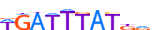 HXC10.H13RSNP.0.P.D motif logo (HOXC10 gene, HXC10_HUMAN protein)