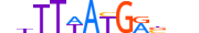 HXC10.H13RSNP.1.S.D motif logo (HOXC10 gene, HXC10_HUMAN protein)