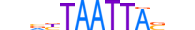 HXD1.H13RSNP.0.SM.D motif logo (HOXD1 gene, HXD1_HUMAN protein)