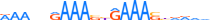 IRF2.H13RSNP.0.PSM.A motif logo (IRF2 gene, IRF2_HUMAN protein)