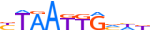 ISL1.H13RSNP.0.PSM.A motif logo (ISL1 gene, ISL1_HUMAN protein)