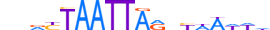 ISX.H13RSNP.1.S.B motif logo (ISX gene, ISX_HUMAN protein)