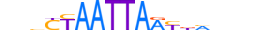 LBX2.H13RSNP.1.S.D motif logo (LBX2 gene, LBX2_HUMAN protein)