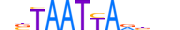 LHX6.H13RSNP.1.S.B motif logo (LHX6 gene, LHX6_HUMAN protein)