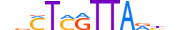 LHX8.H13RSNP.1.M.C motif logo (LHX8 gene, LHX8_HUMAN protein)