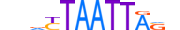 LHX9.H13RSNP.0.PS.A motif logo (LHX9 gene, LHX9_HUMAN protein)