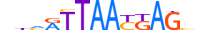 LHX9.H13RSNP.1.M.B motif logo (LHX9 gene, LHX9_HUMAN protein)