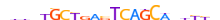 MAFF.H13RSNP.0.PSM.A motif logo (MAFF gene, MAFF_HUMAN protein)