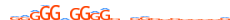 MAZ.H13RSNP.1.P.B motif logo (MAZ gene, MAZ_HUMAN protein)