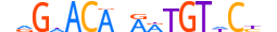 MCR.H13RSNP.0.S.D motif logo (NR3C2 gene, MCR_HUMAN protein)