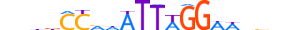 MEF2C.H13RSNP.1.SM.B motif logo (MEF2C gene, MEF2C_HUMAN protein)