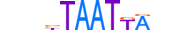 MEOX1.H13RSNP.0.SM.B motif logo (MEOX1 gene, MEOX1_HUMAN protein)