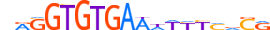 MGAP.H13RSNP.1.S.D motif logo (MGA gene, MGAP_HUMAN protein)