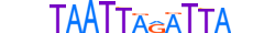 MIXL1.H13RSNP.0.SM.B motif logo (MIXL1 gene, MIXL1_HUMAN protein)