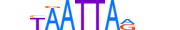 MIXL1.H13RSNP.1.S.B motif logo (MIXL1 gene, MIXL1_HUMAN protein)