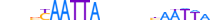 MSX1.H13RSNP.1.S.C motif logo (MSX1 gene, MSX1_HUMAN protein)