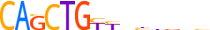 MYOD1.H13RSNP.0.P.B motif logo (MYOD1 gene, MYOD1_HUMAN protein)