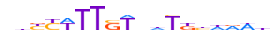 NANOG.H13RSNP.0.P.B motif logo (NANOG gene, NANOG_HUMAN protein)