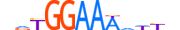 NFAT5.H13RSNP.0.SM.B motif logo (NFAT5 gene, NFAT5_HUMAN protein)