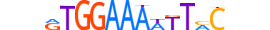 NFAT5.H13RSNP.1.PS.A motif logo (NFAT5 gene, NFAT5_HUMAN protein)