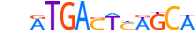 NFE2.H13RSNP.0.P.B motif logo (NFE2 gene, NFE2_HUMAN protein)