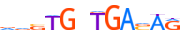 NKX25.H13RSNP.1.P.D motif logo (NKX2-5 gene, NKX25_HUMAN protein)
