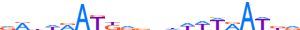 NKX61.H13RSNP.0.PS.D motif logo (NKX6-1 gene, NKX61_HUMAN protein)