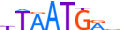 NKX61.H13RSNP.1.P.D motif logo (NKX6-1 gene, NKX61_HUMAN protein)