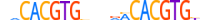 NPAS2.H13RSNP.2.S.B motif logo (NPAS2 gene, NPAS2_HUMAN protein)