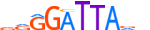 OTX2.H13RSNP.0.PSM.A motif logo (OTX2 gene, OTX2_HUMAN protein)