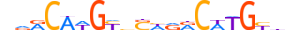 P63.H13RSNP.0.PS.A motif logo (TP63 gene, P63_HUMAN protein)