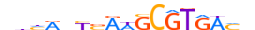 PAX1.H13RSNP.0.SM.B motif logo (PAX1 gene, PAX1_HUMAN protein)