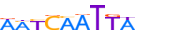 PAX3.H13RSNP.2.P.D motif logo (PAX3 gene, PAX3_HUMAN protein)