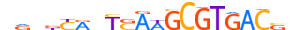 PAX8.H13RSNP.0.PSM.A motif logo (PAX8 gene, PAX8_HUMAN protein)