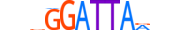 PITX1.H13RSNP.0.PSM.A motif logo (PITX1 gene, PITX1_HUMAN protein)