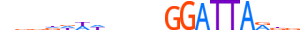 PITX3.H13RSNP.1.S.B motif logo (PITX3 gene, PITX3_HUMAN protein)