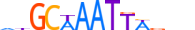 PO2F3.H13RSNP.0.PS.D motif logo (POU2F3 gene, PO2F3_HUMAN protein)