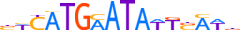 PO3F2.H13RSNP.0.P.D motif logo (POU3F2 gene, PO3F2_HUMAN protein)